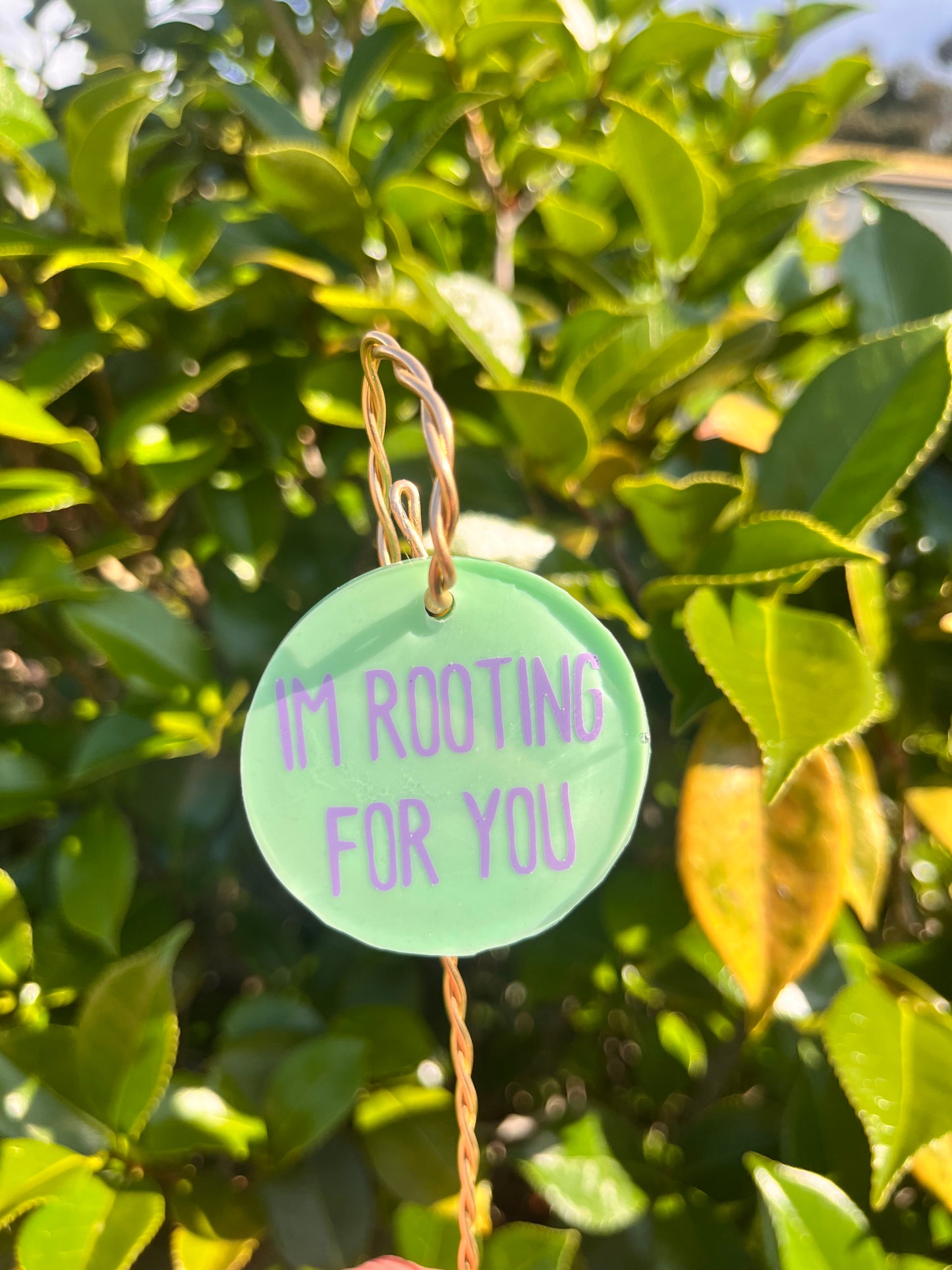 I’m rooting for you - wire plant tag