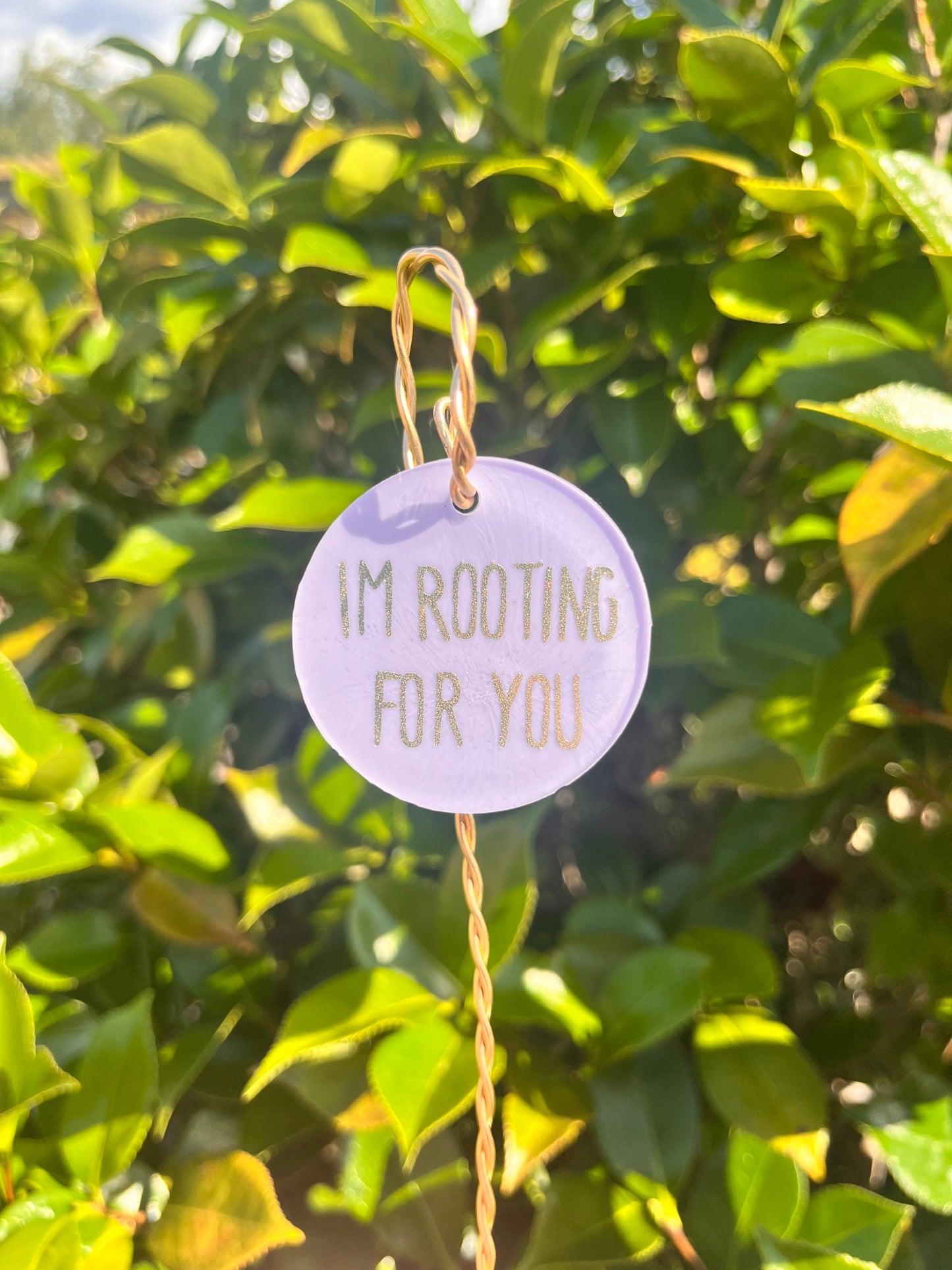 I’m rooting for you - wire plant tag