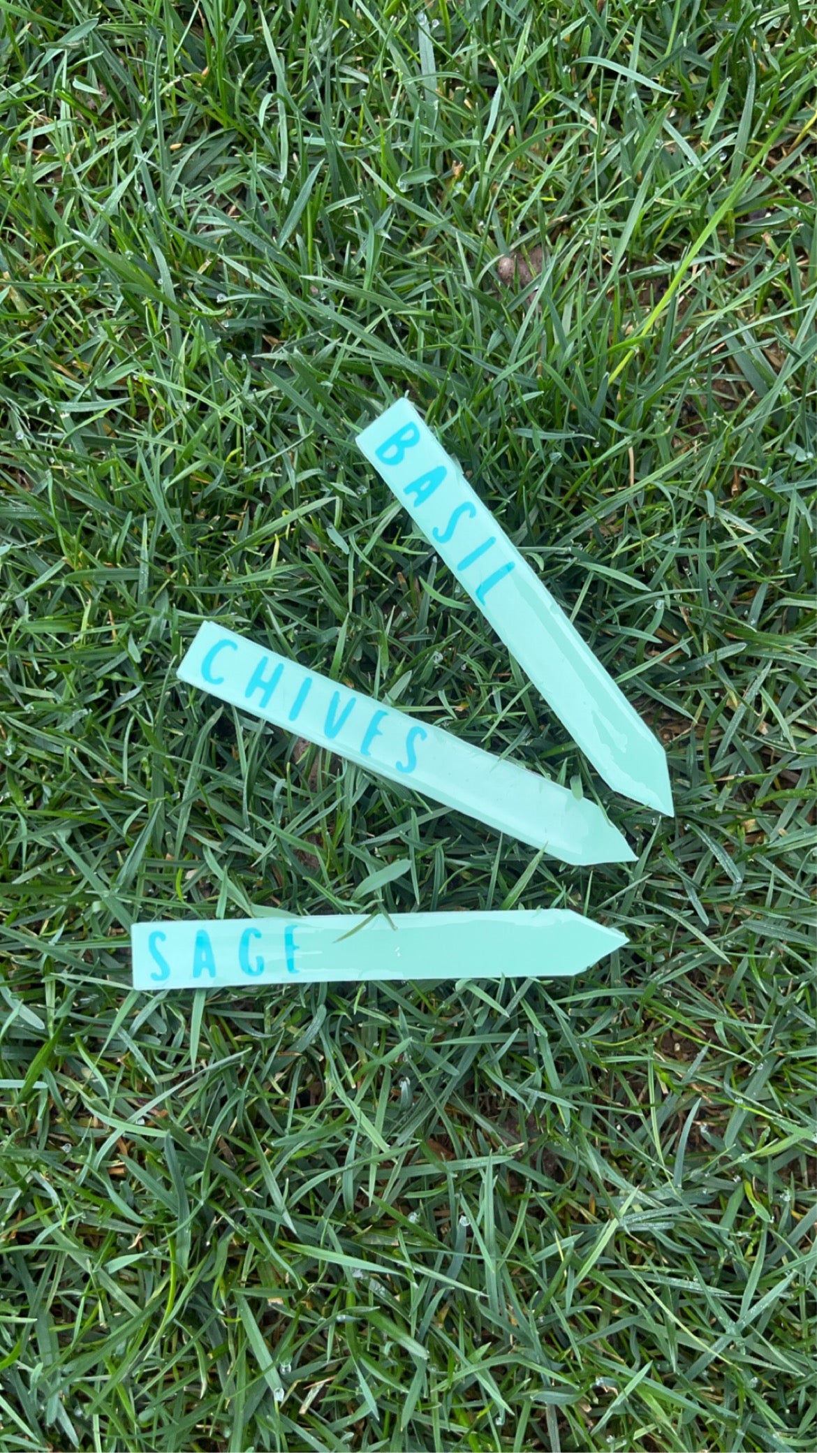 Herb Tag Trios