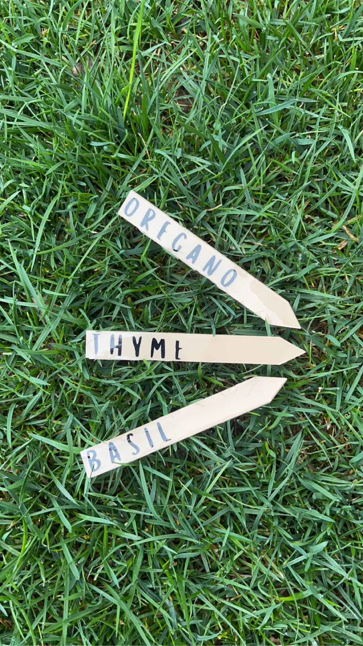 Herb Tag Trios