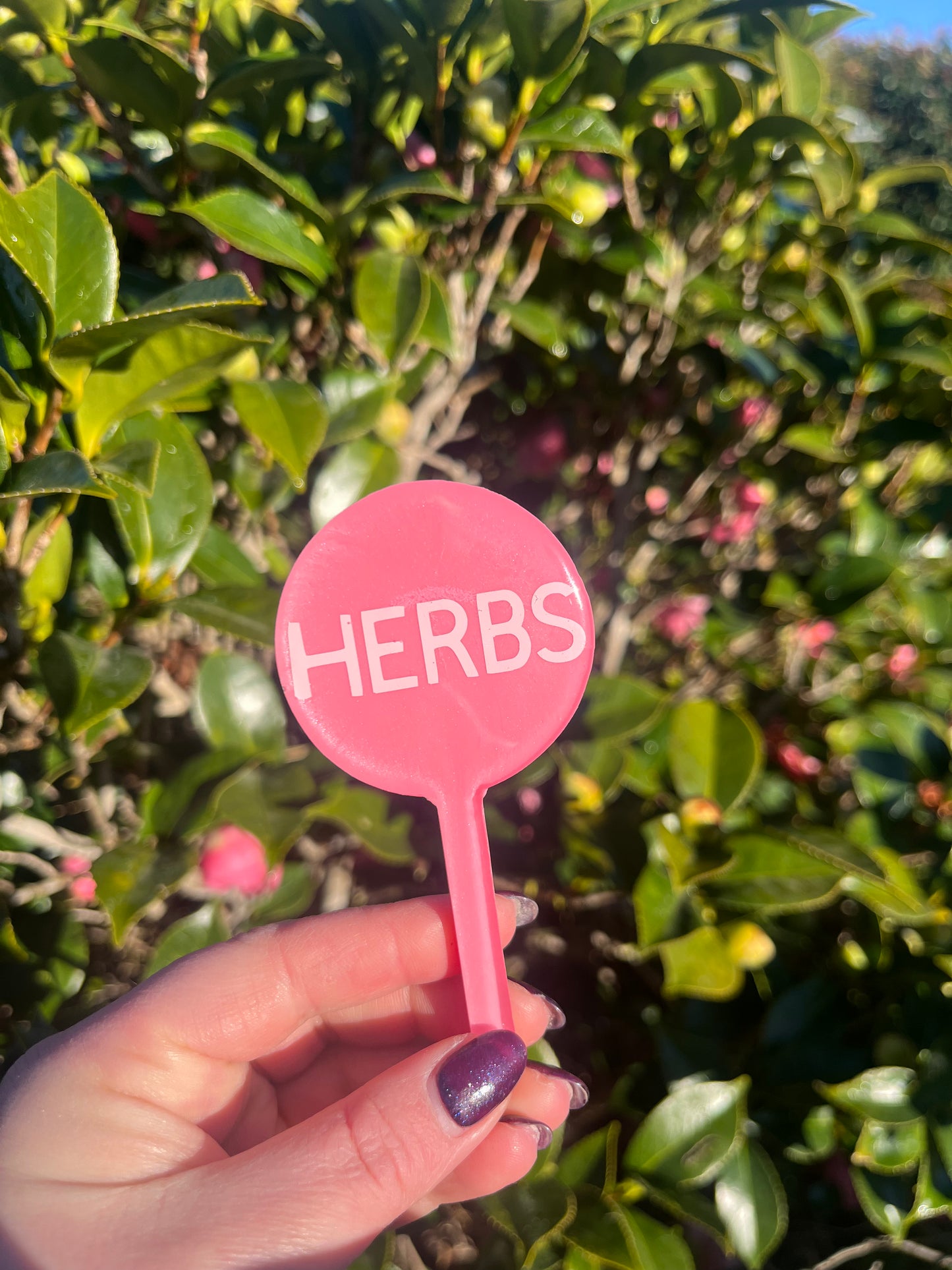 Herbs - Plant Tag