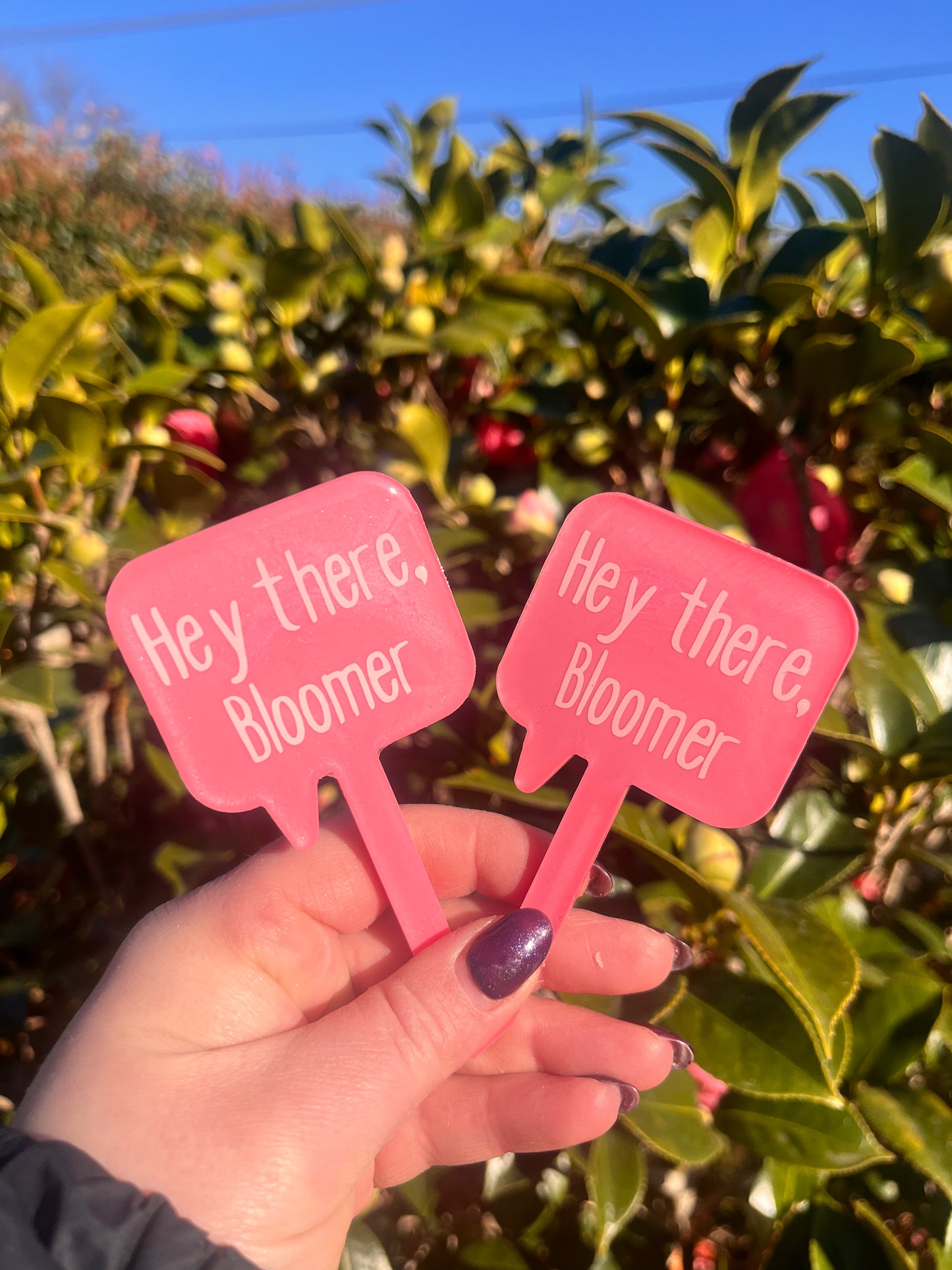 Hey There Bloomer - Plant Tag