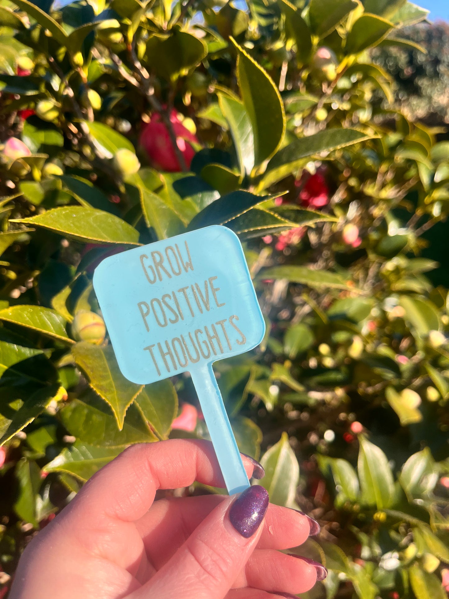 Grow Positive Thoughts - Plant Tag