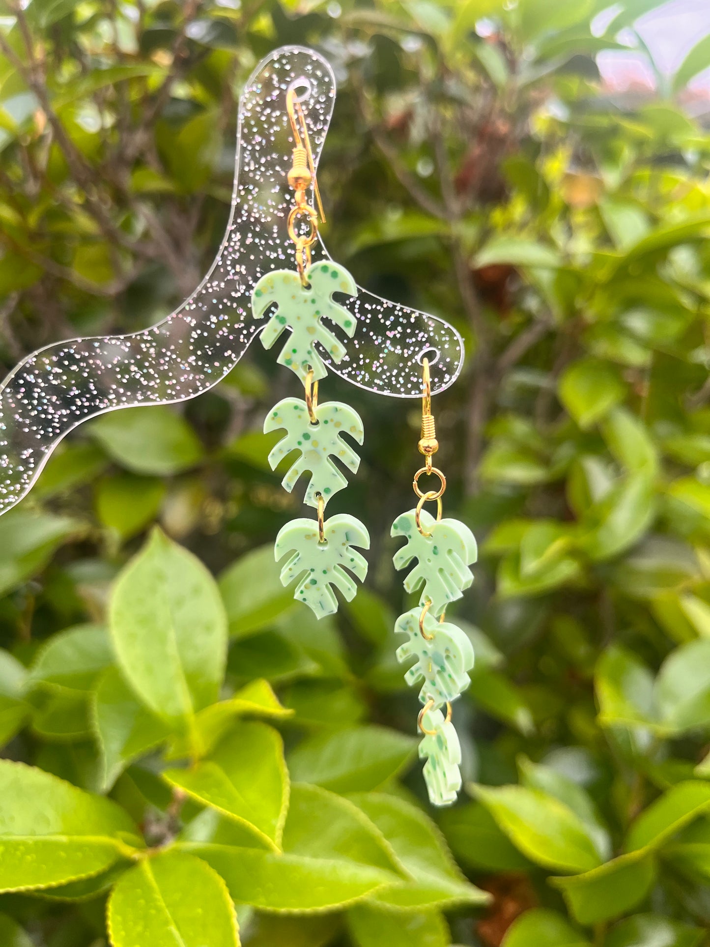 Monstera Dangles