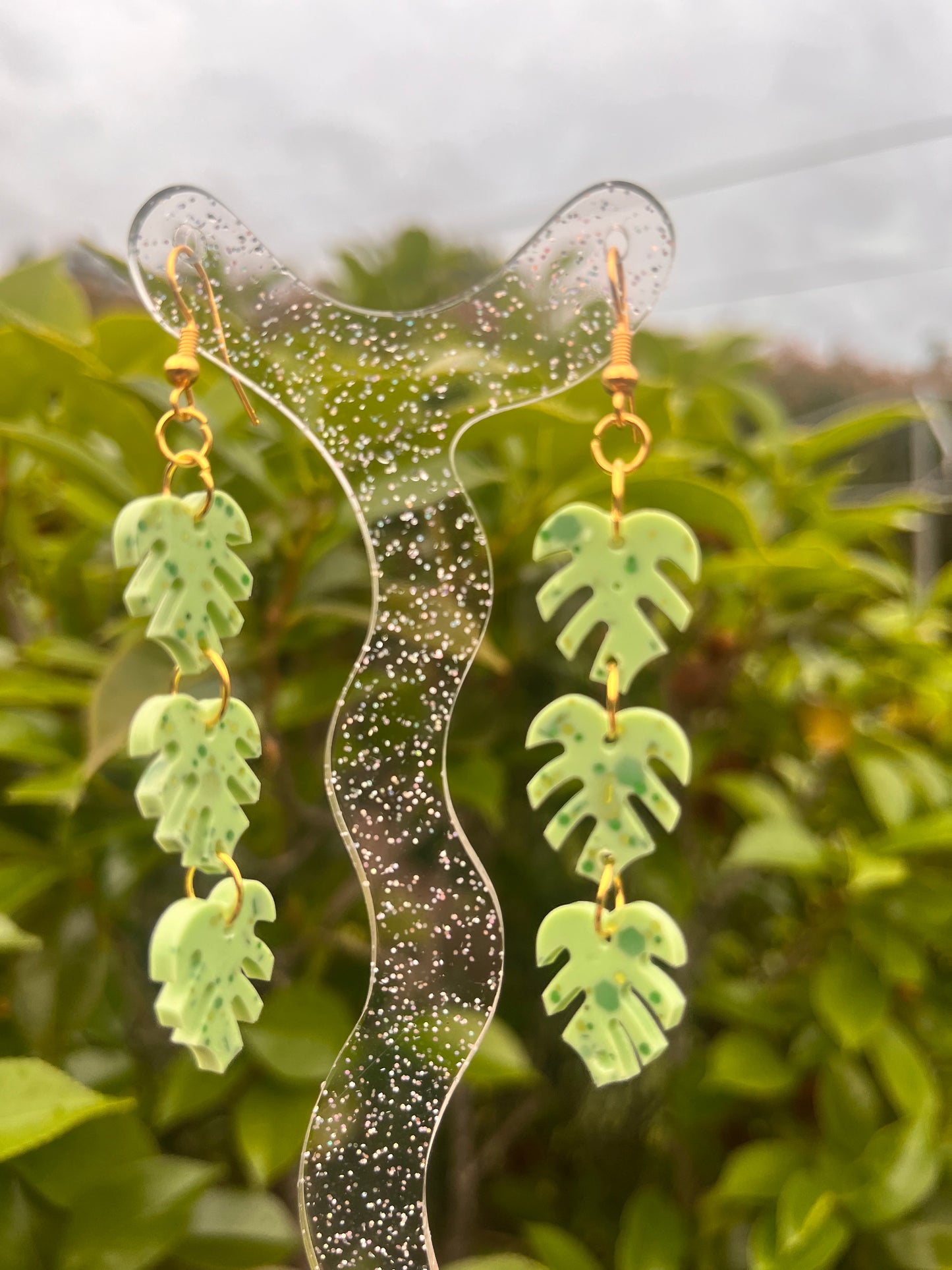 Monstera Dangles