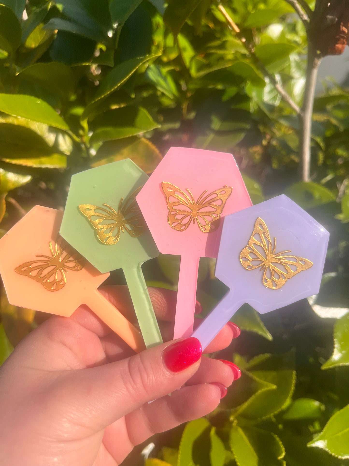 Butterfly plant tag