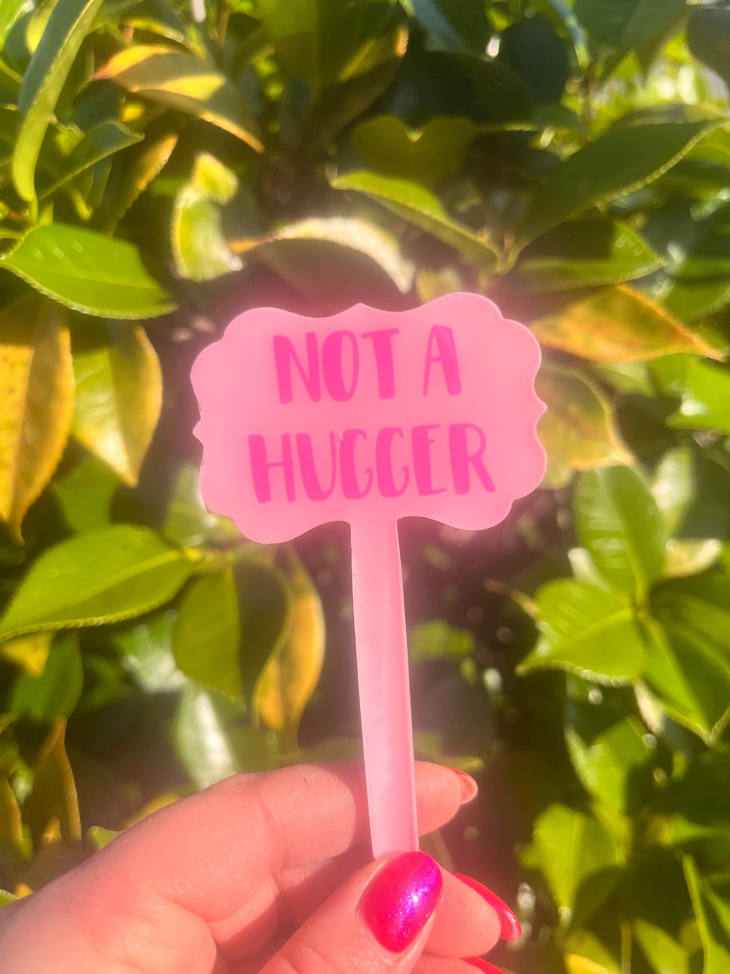 Not a hugger