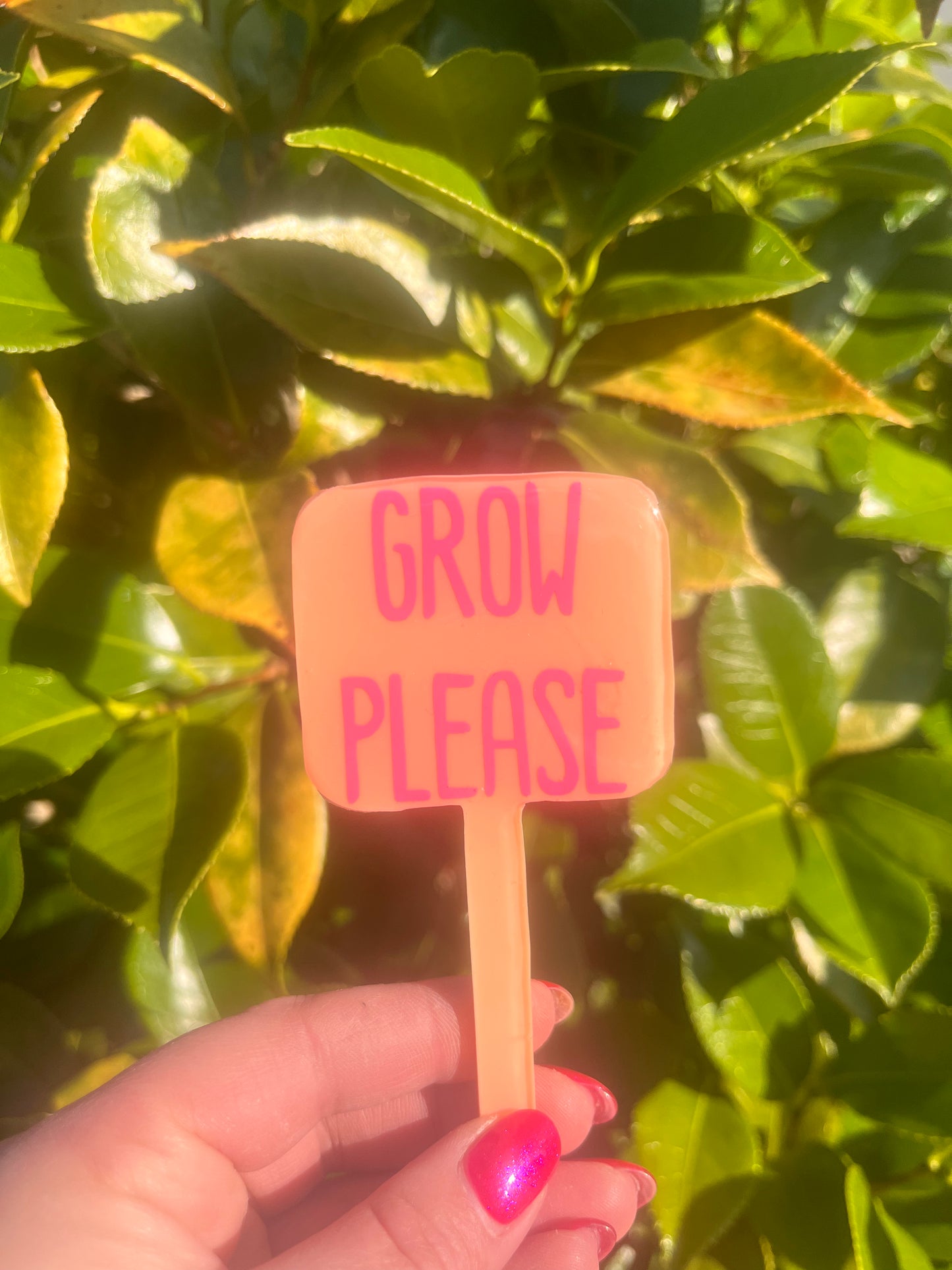 Grow Please - plant tag