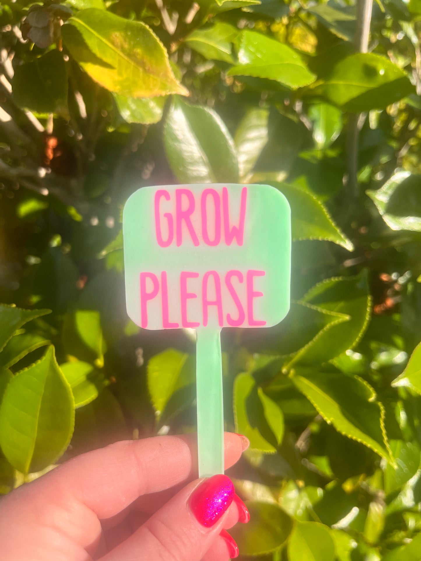 Grow Please - plant tag