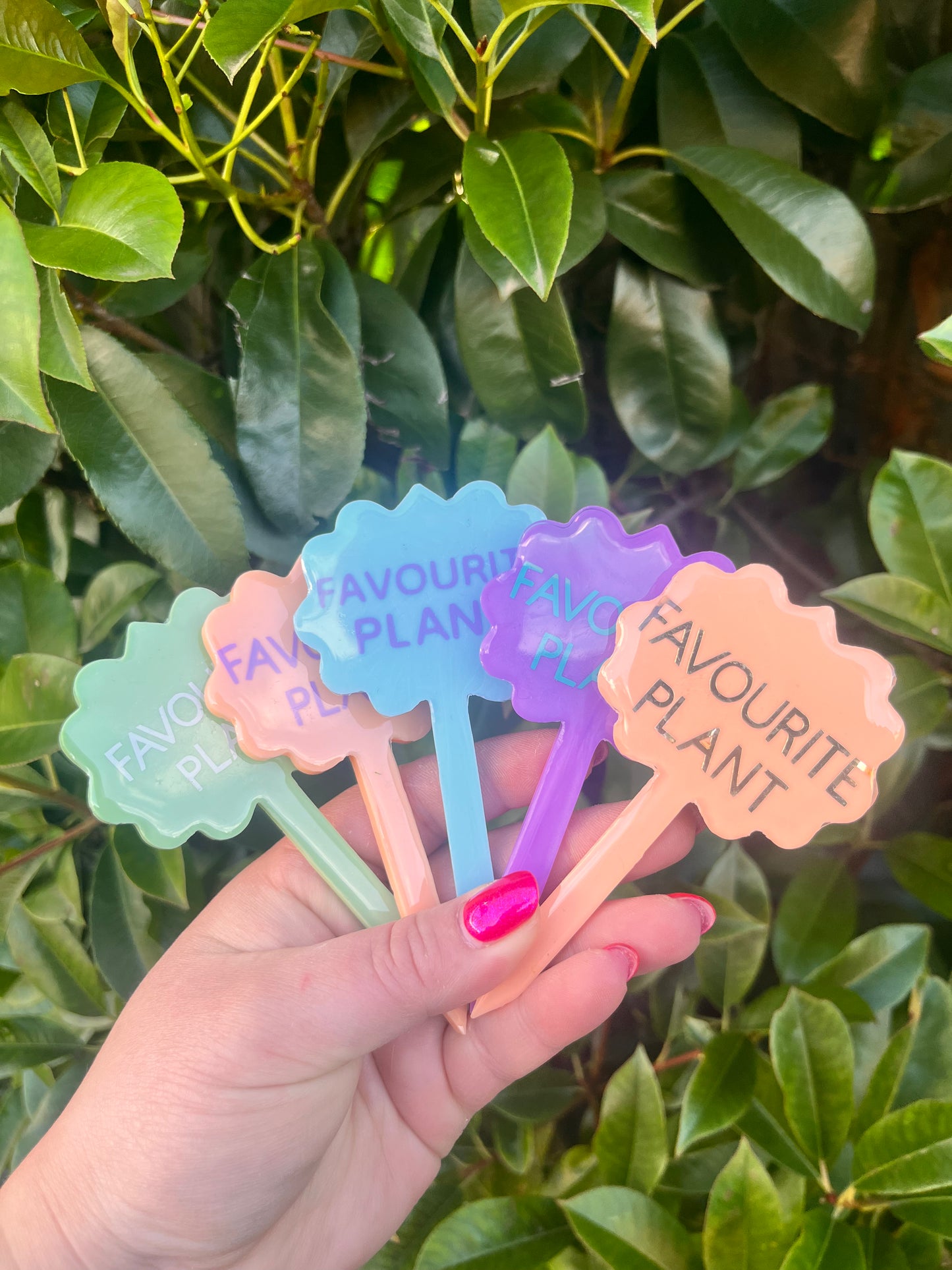 Favourite plant - plant tag