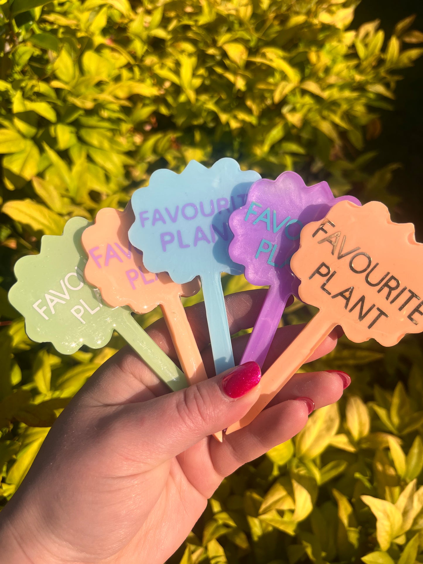 Favourite plant - plant tag
