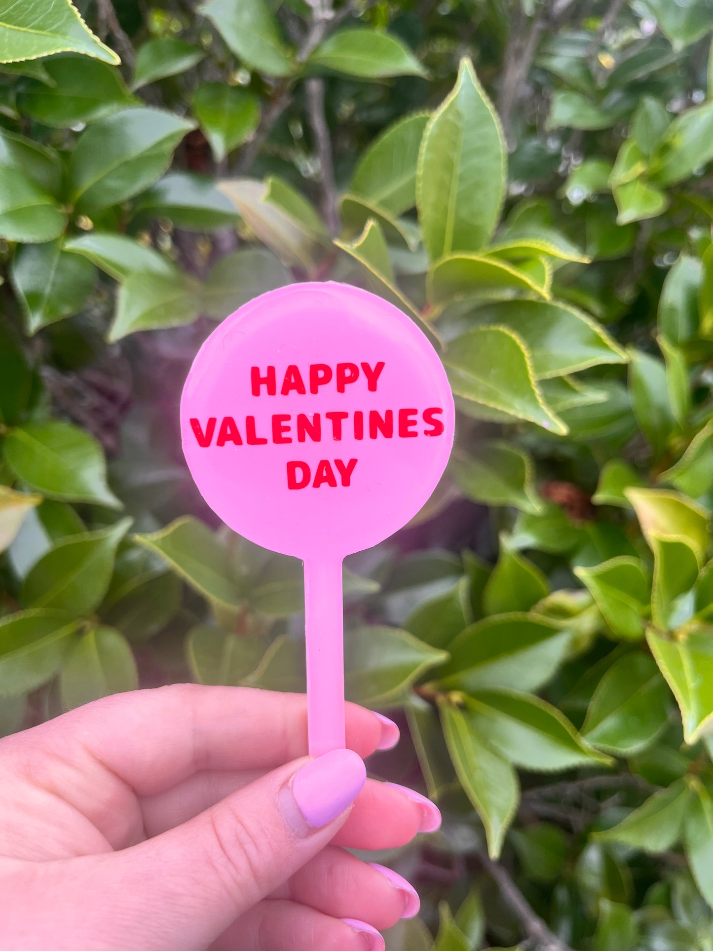 Happy Valentines Day