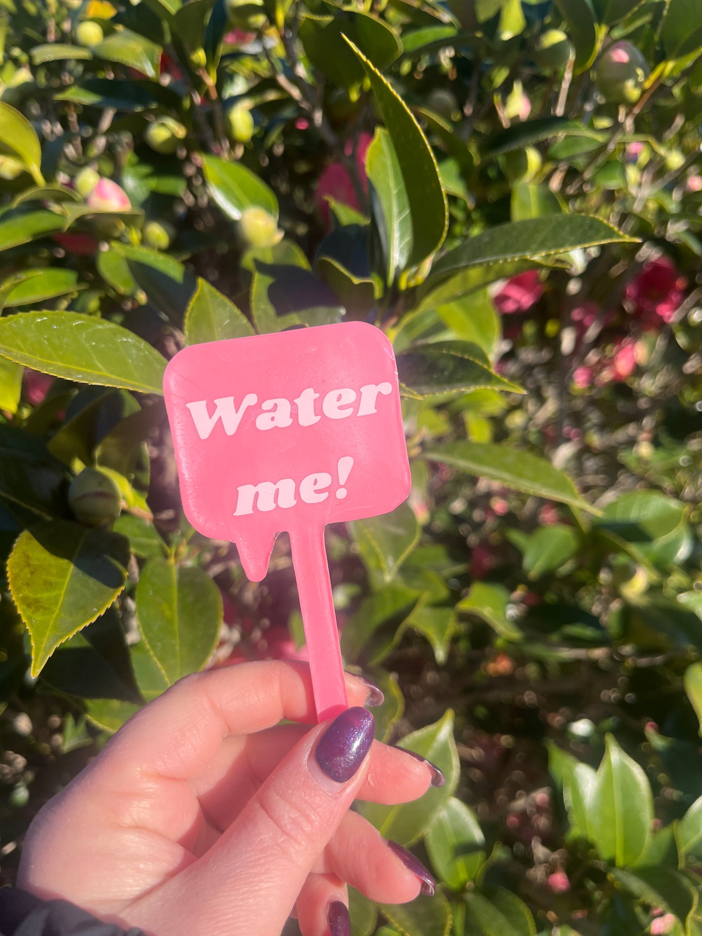 Water Me! -Plant Tag