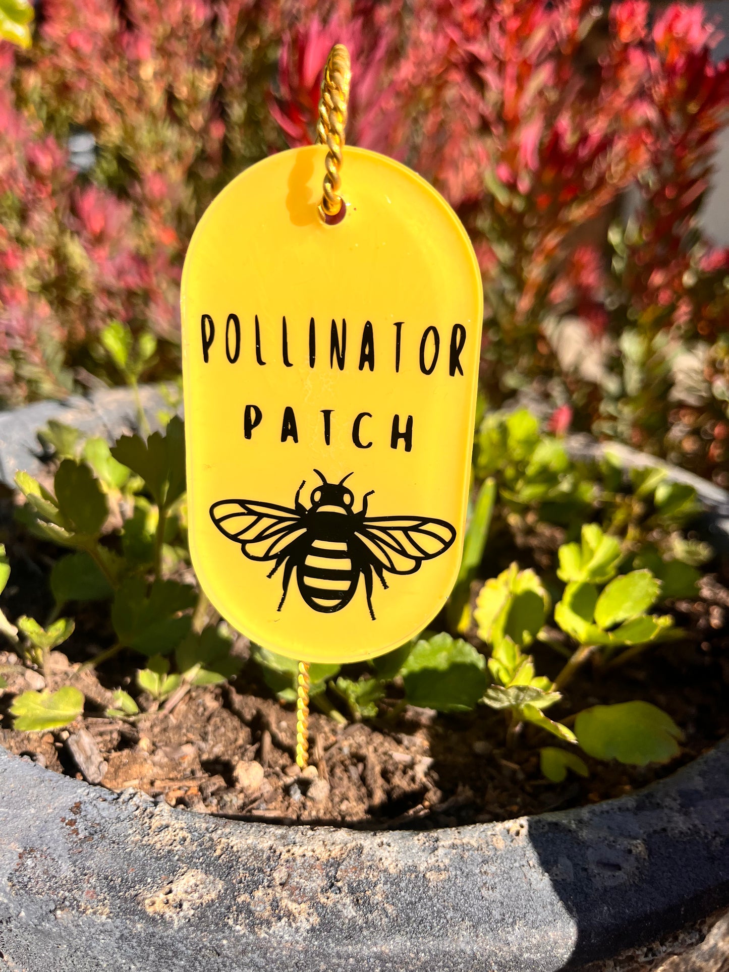 Pollinator Patch - Plant tag