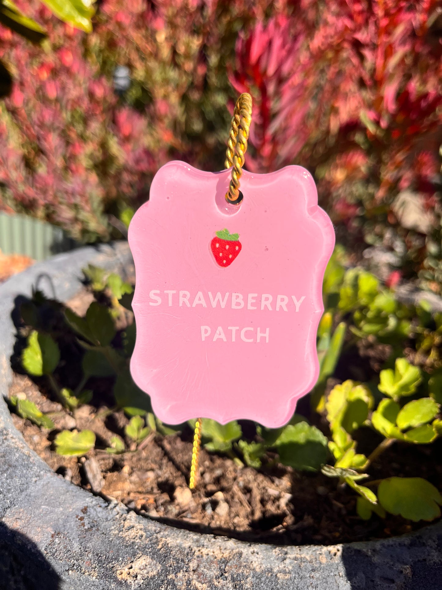 Strawberry Patch - Plant tag
