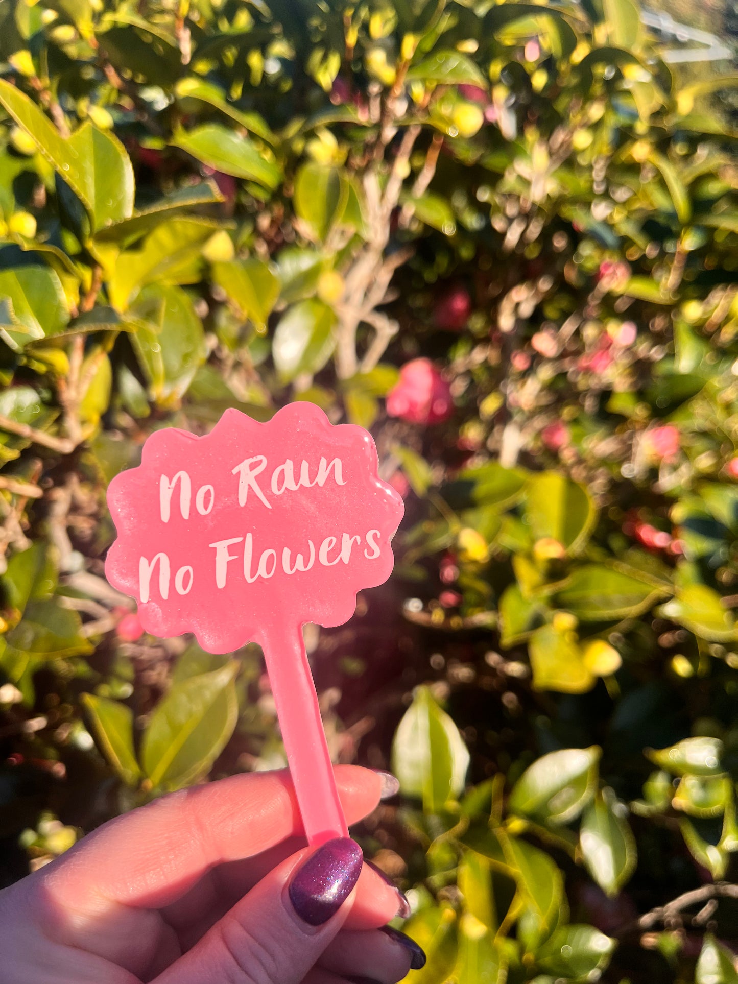 No Rain, No Flowers - Plant Tag