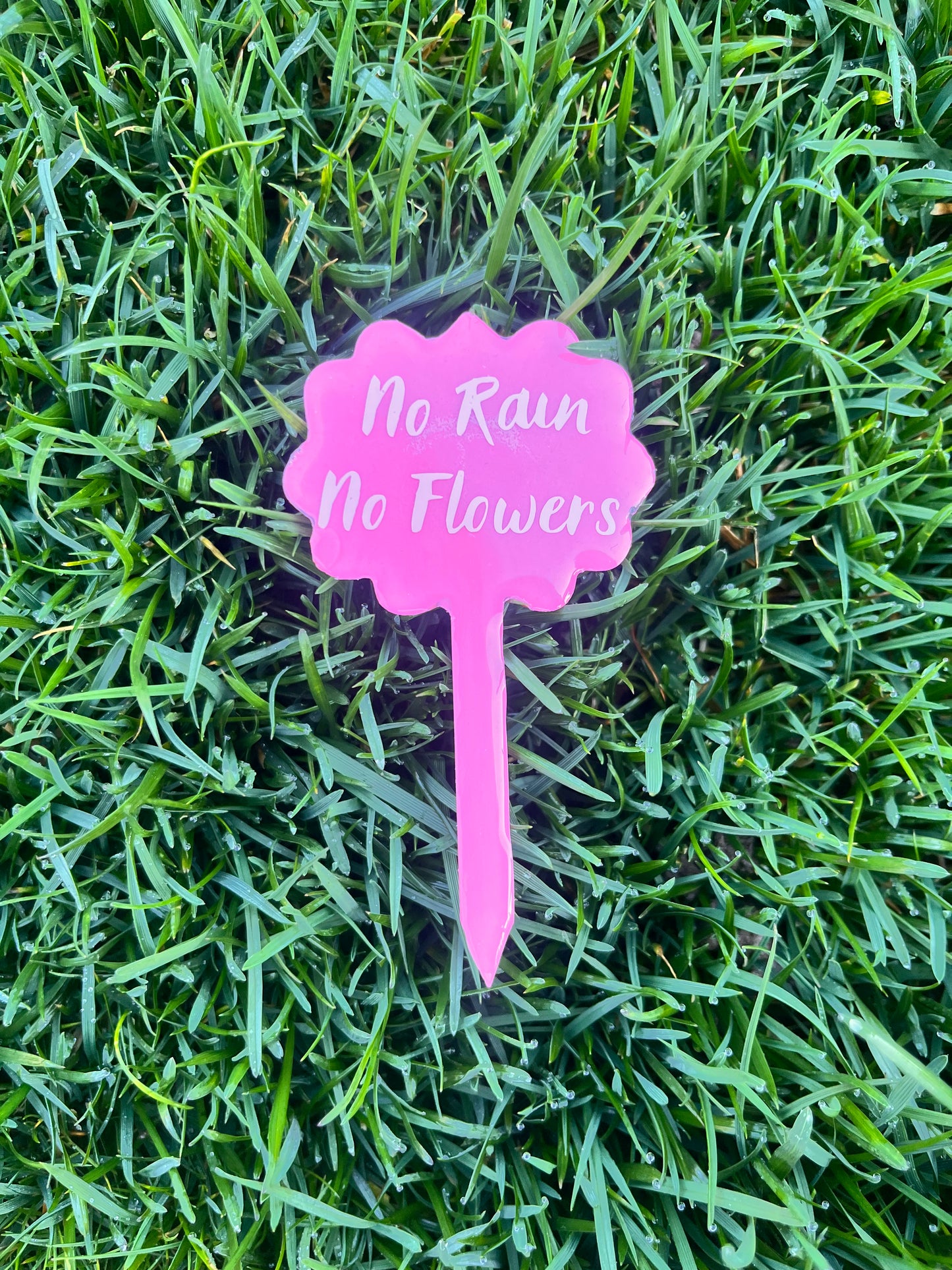 No Rain, No Flowers - Plant Tag