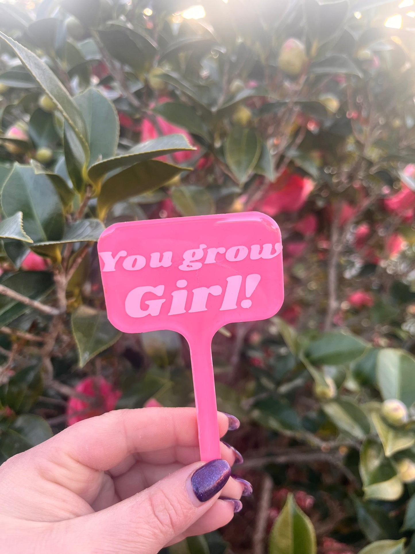 You Grow Girl - Plant Tag