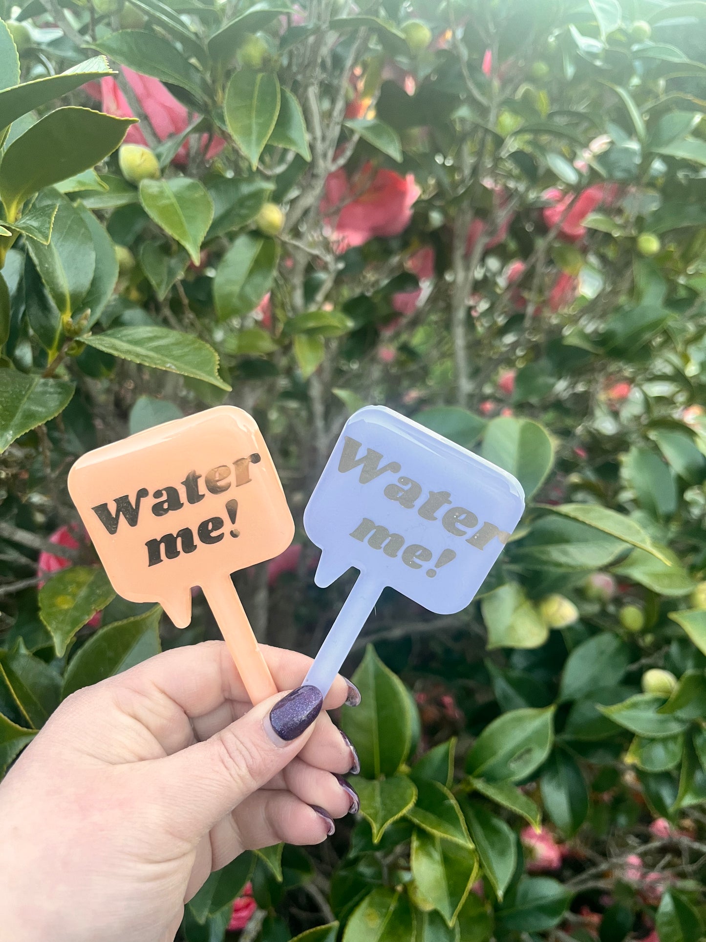 Water Me! -Plant Tag