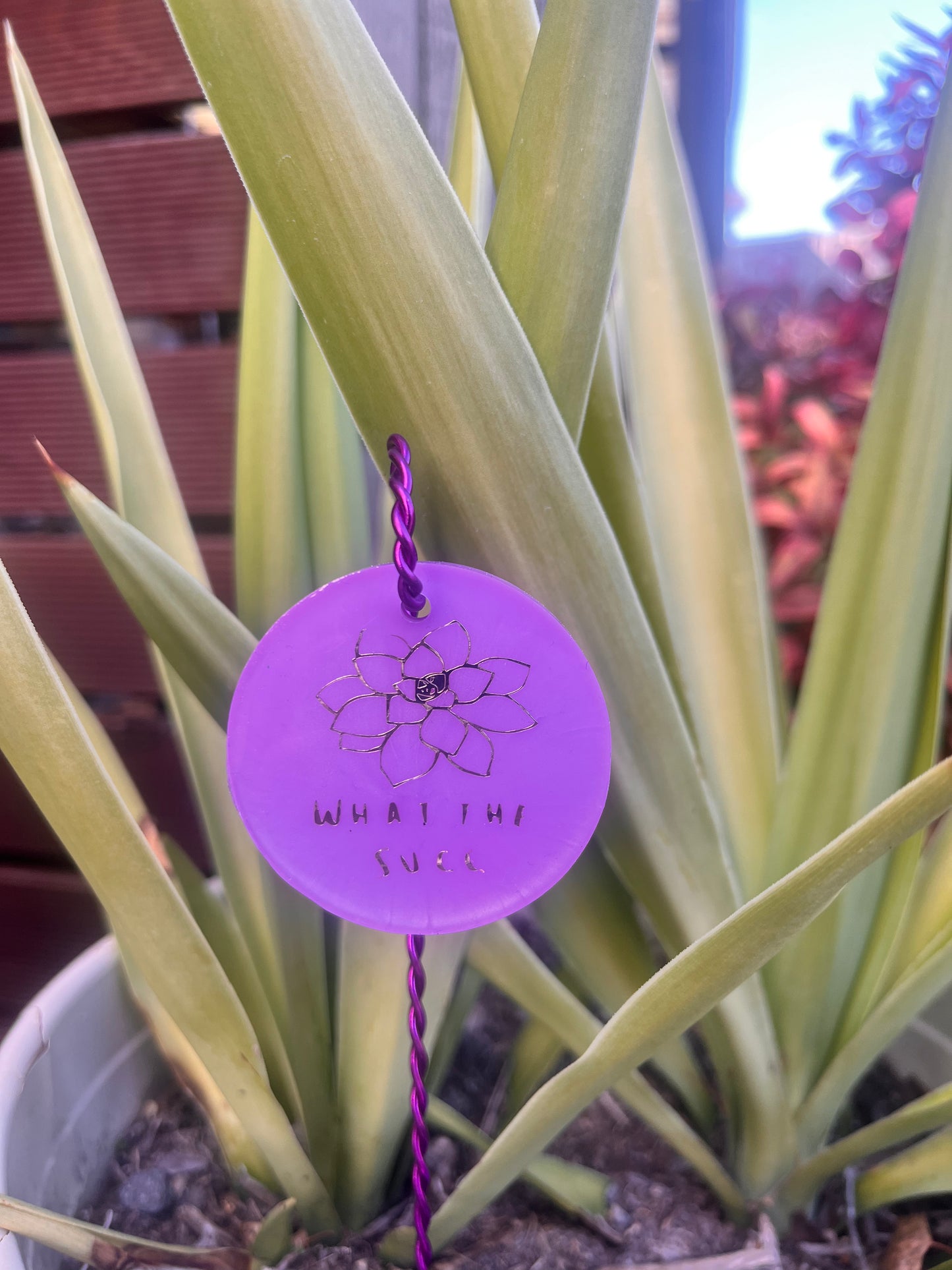 What The Succ - Plant Tag