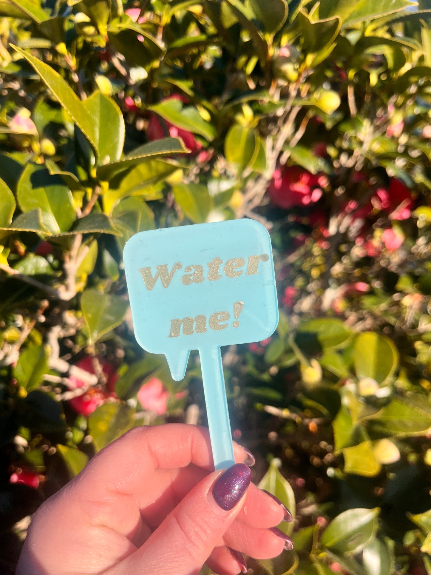 Water Me! -Plant Tag