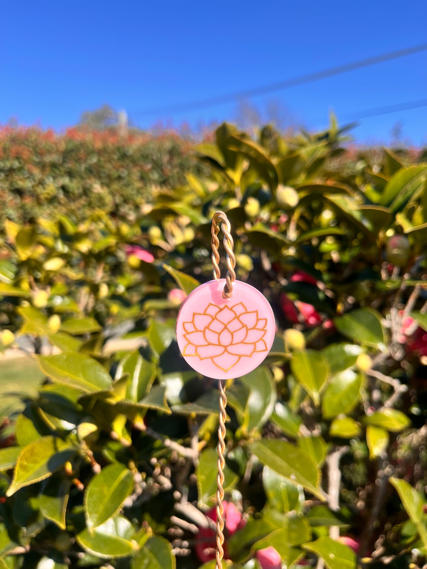 Succulent Plant Tag