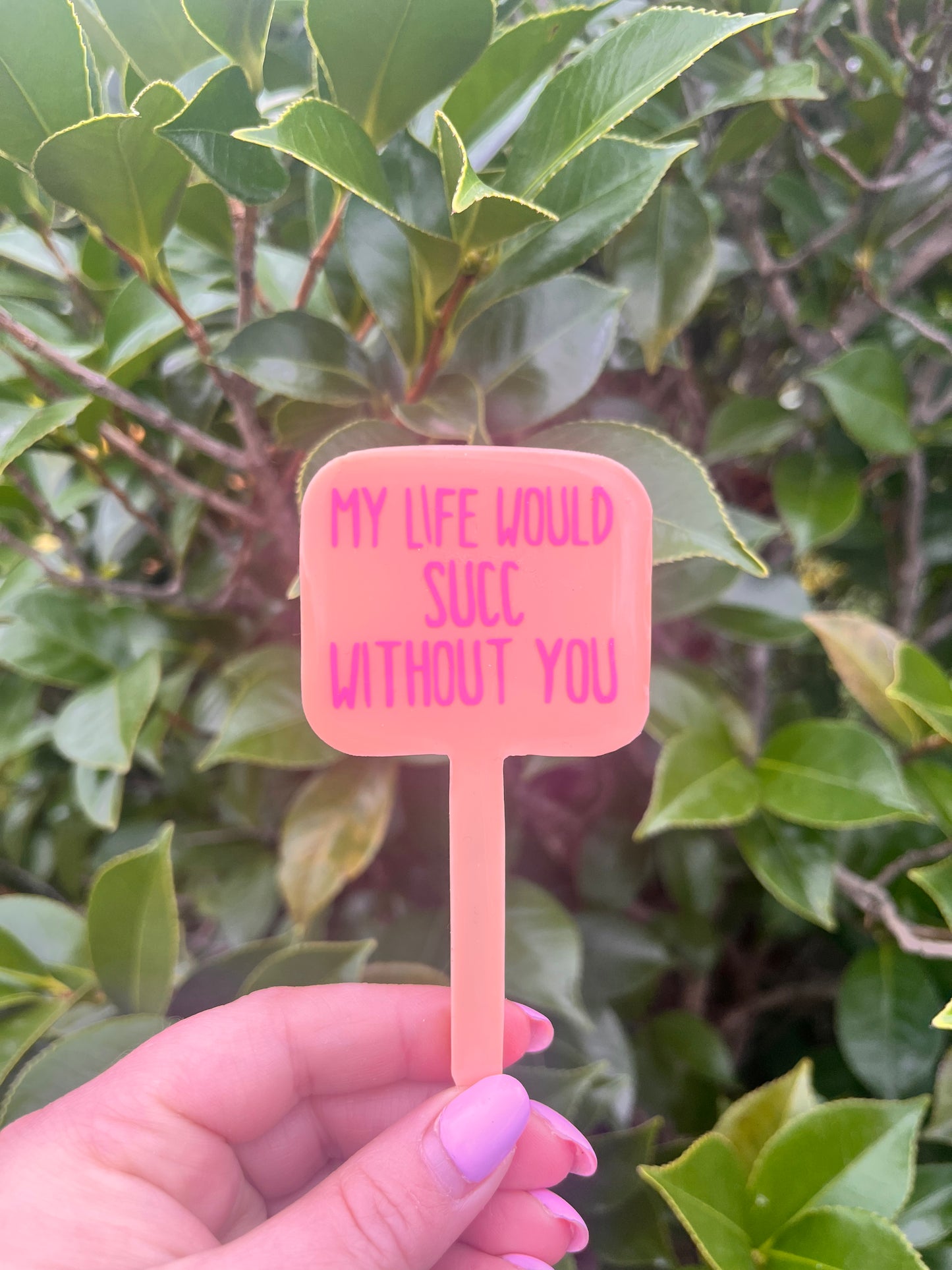 My Life Would Succ Without You Plant Tag